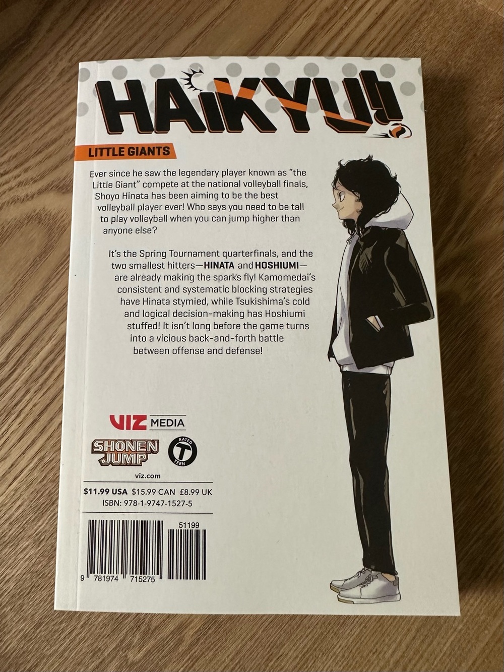 Haikyu!! / Haikyuu Volumes 38-40 Manga by Haruichi Furudate - Orange & White - Picture 8 of 13